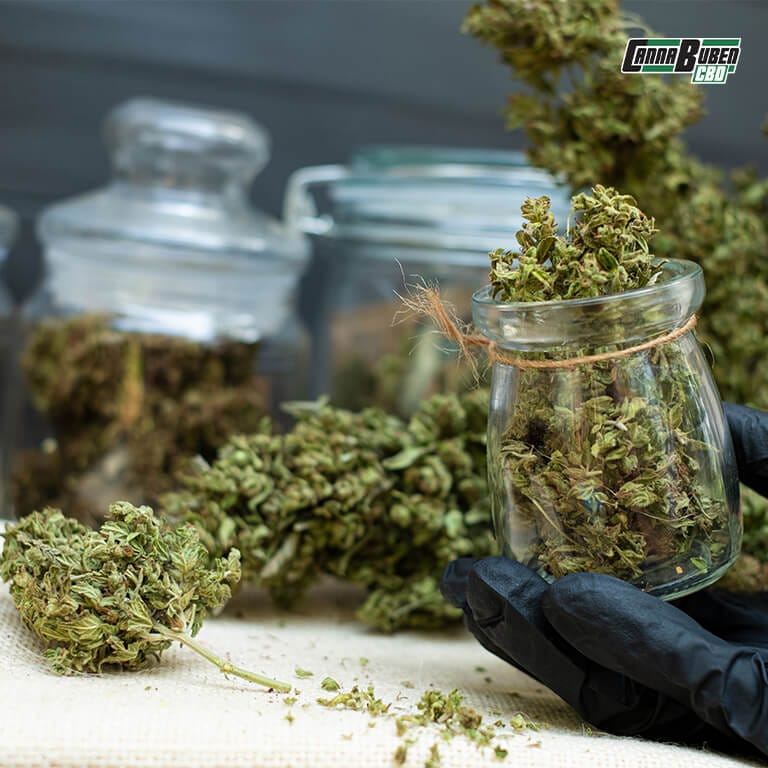 DIY-Trocknungsmethode für Cannabis mit Kartons und Luftlöchern.