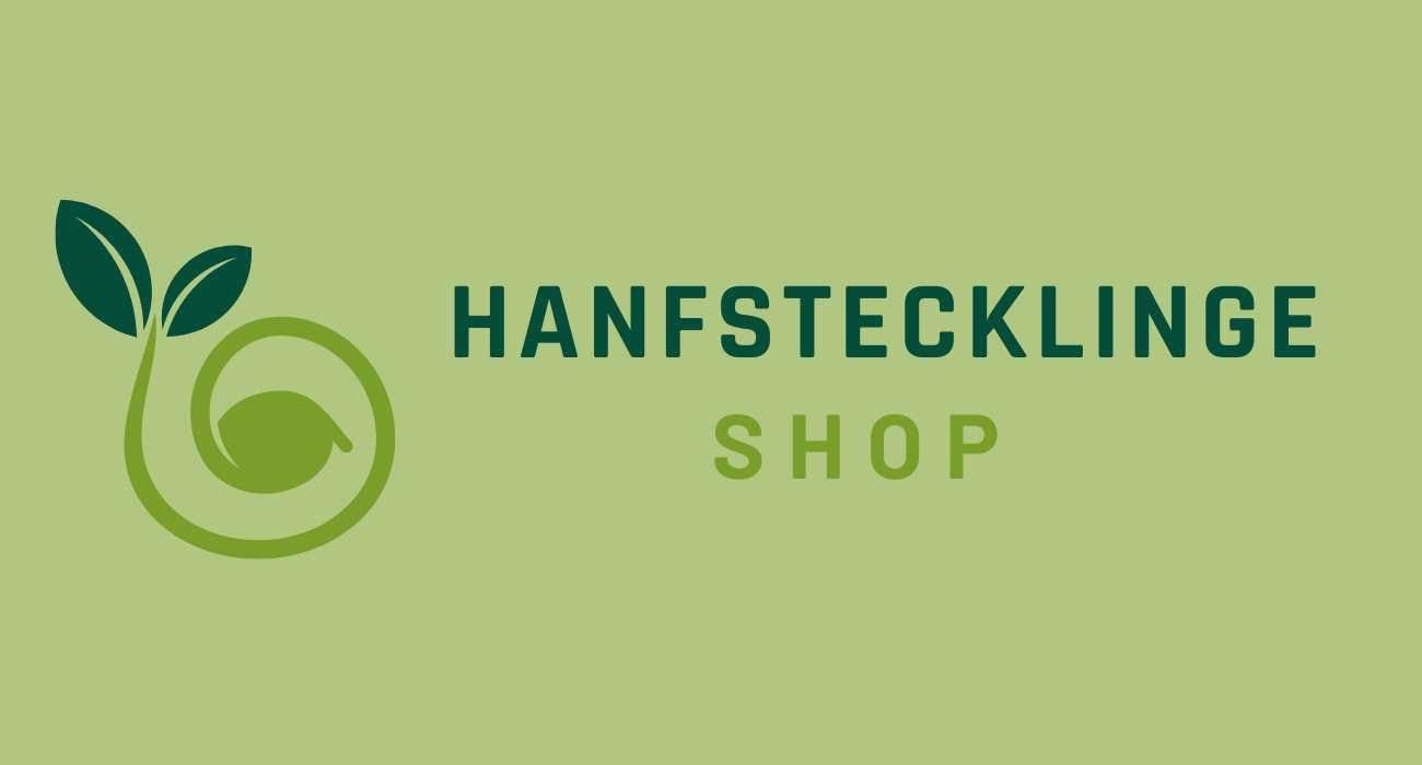 Untitled design - 2025-01-14T145717.350